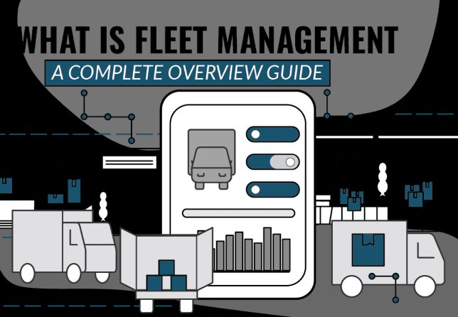 Fleet Management Consulting