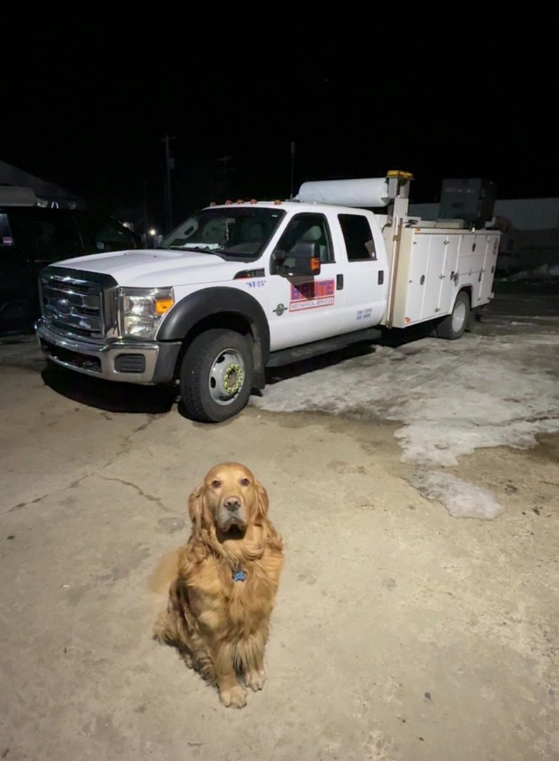 Brute Mechanical Services - Heavy Duty Repair