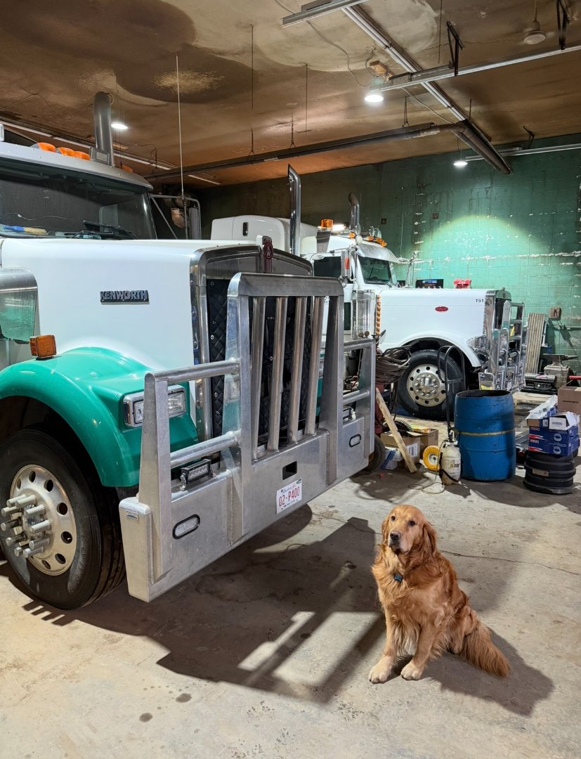 Brute Mechanical Services - Our Shop