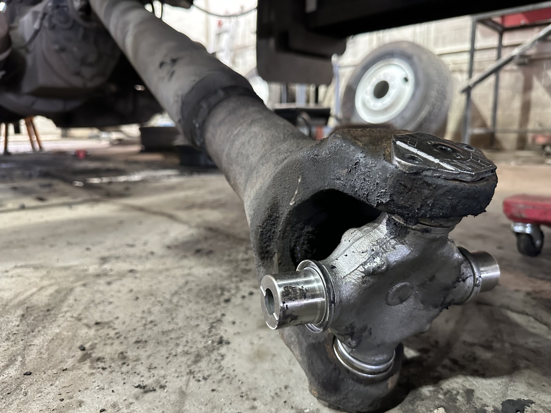 About DIESEL CLINIC INC